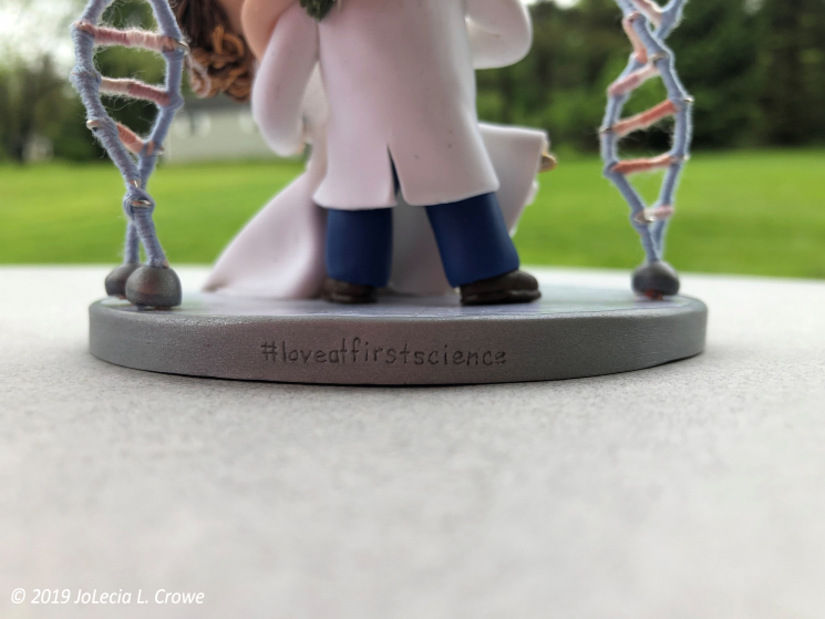Wilder cake topper