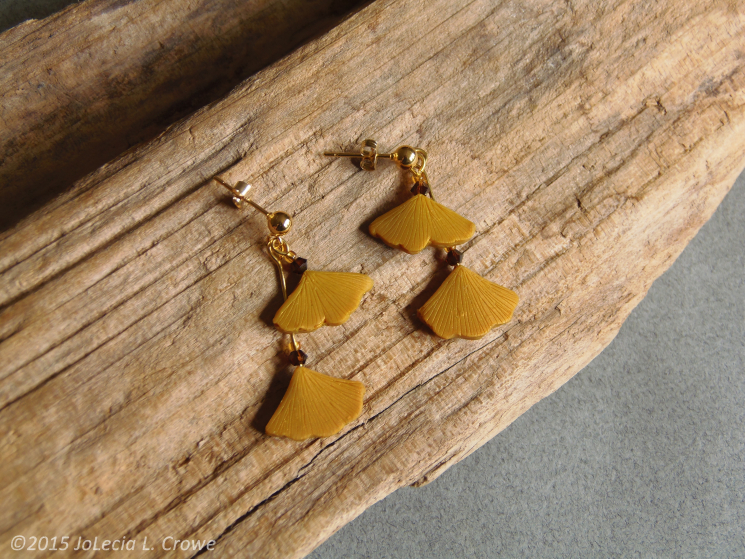 Fall ginkgo drops
