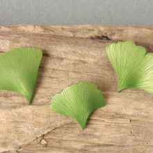 ginkgo_leaf_pins_wc.jpg