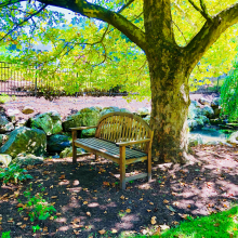 Shirer cake topper - the proposal site img_2996_ws.jpg