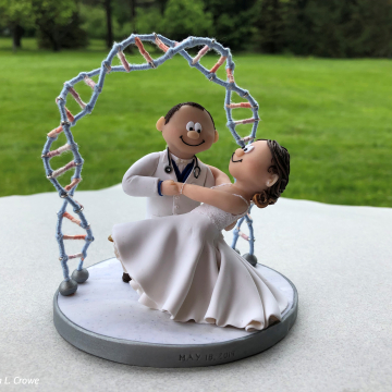 Wilder cake topper