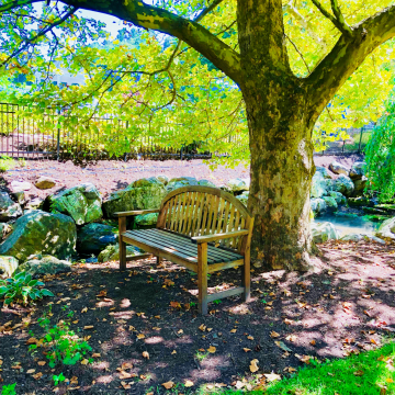 Shirer cake topper - the proposal site